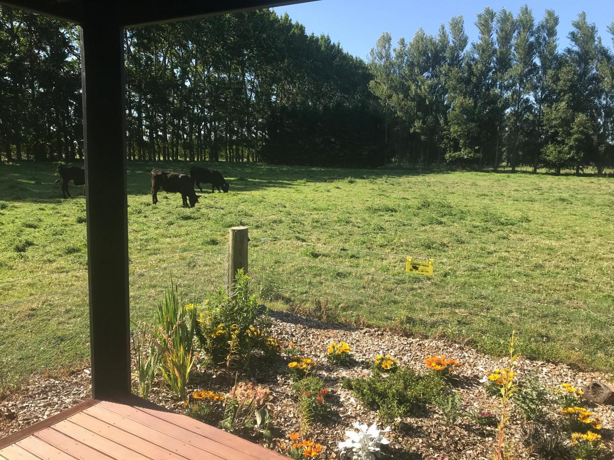 Hotel Brookside Country Escape 40 Minutes To Chc Airport Leeston Esterno foto